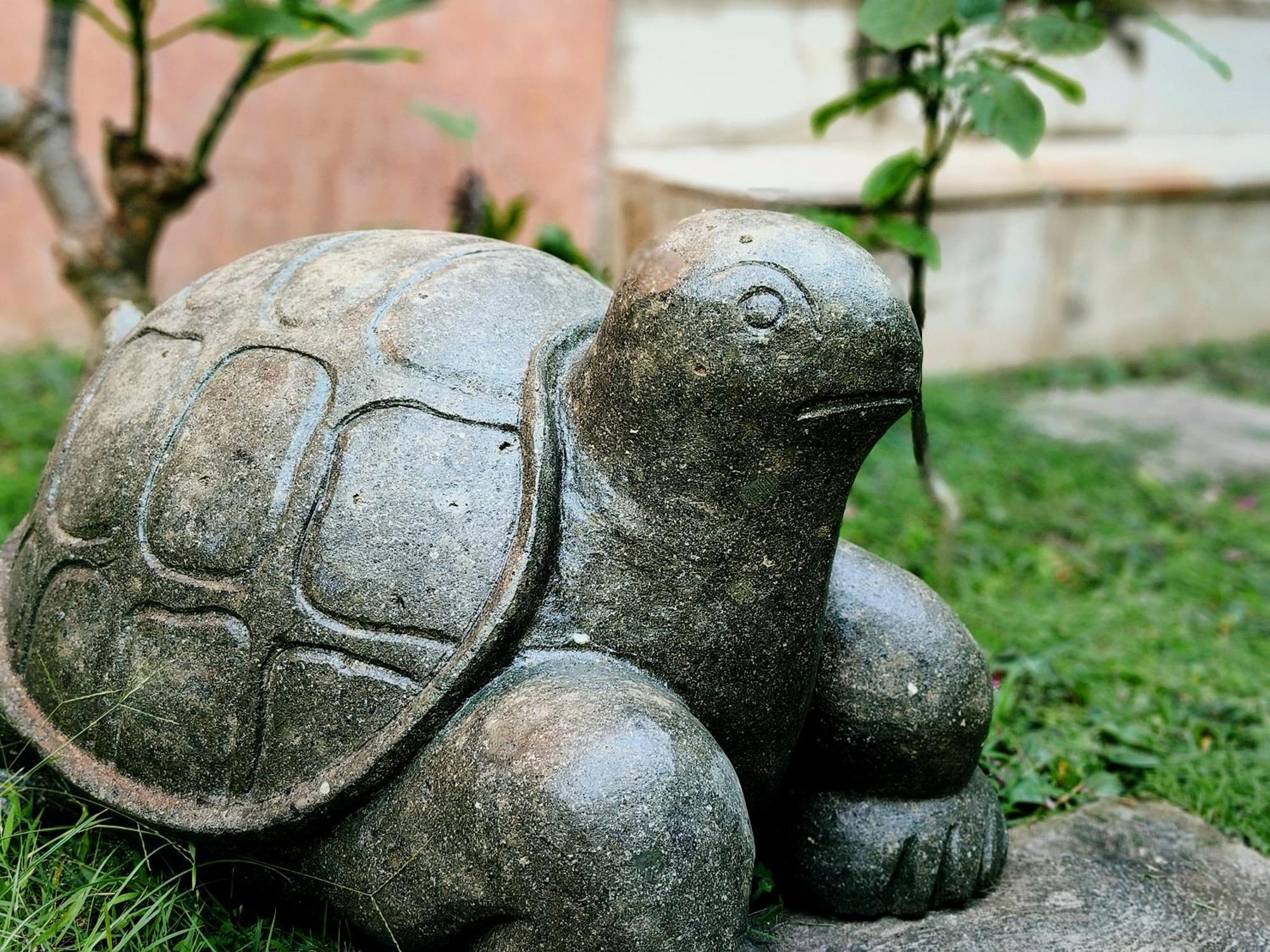 Bed and Breakfast Panda Lumbung Санур Екстер'єр фото